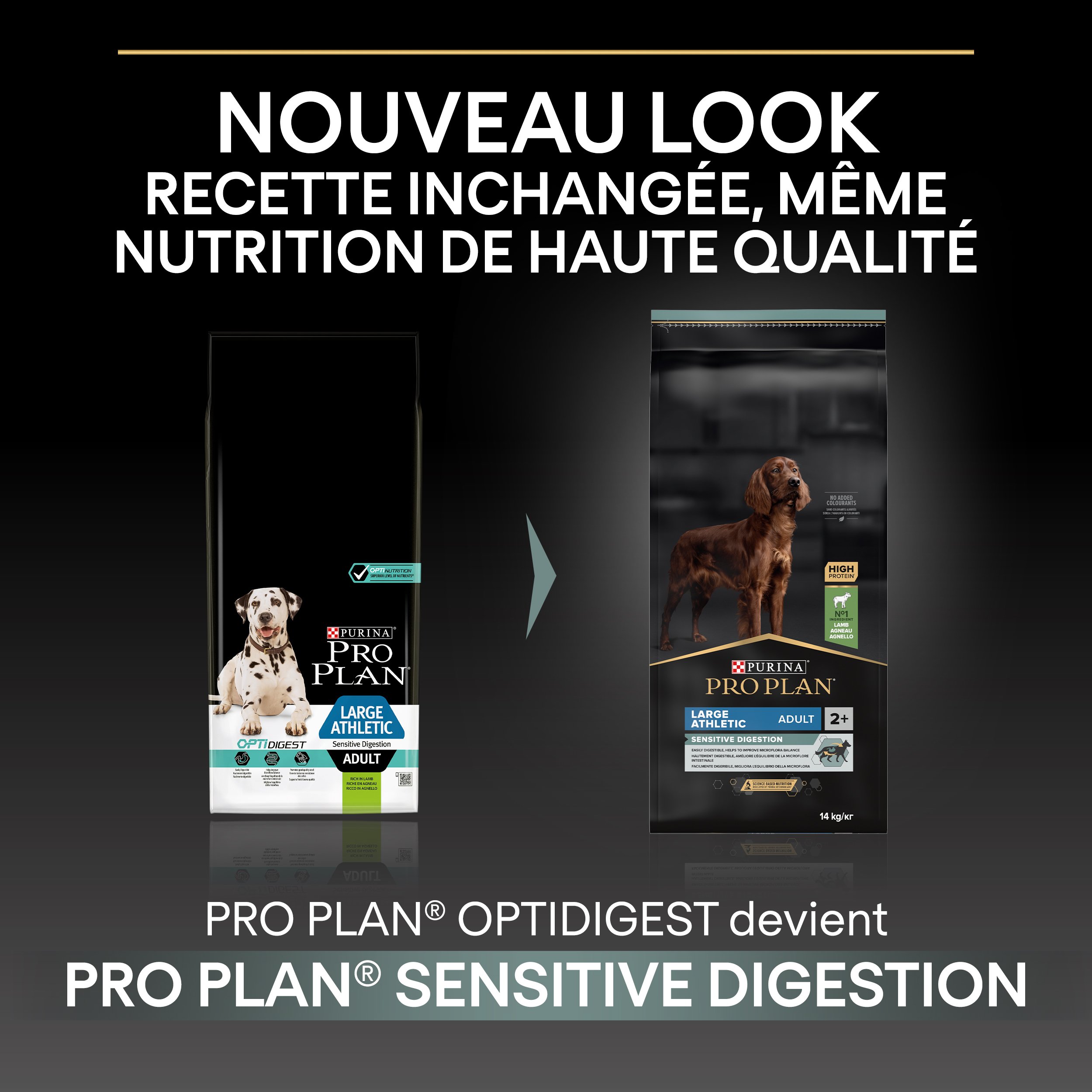 PRO PLAN Chien Large Adult Athletic Sensitive Digestion Agneau 14KG