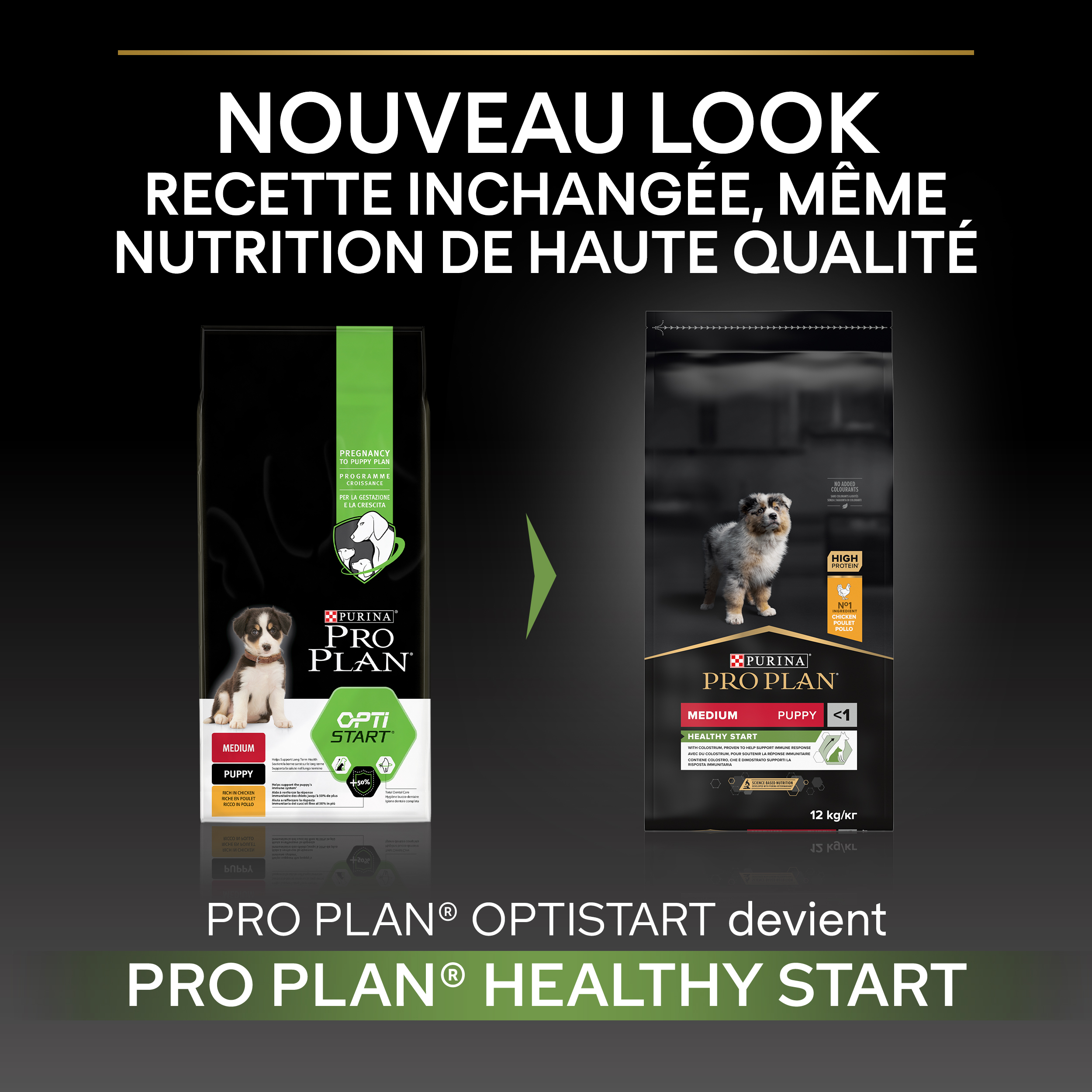 PRO PLAN Chien Medium Puppy Healthy Start  Poulet 12KG