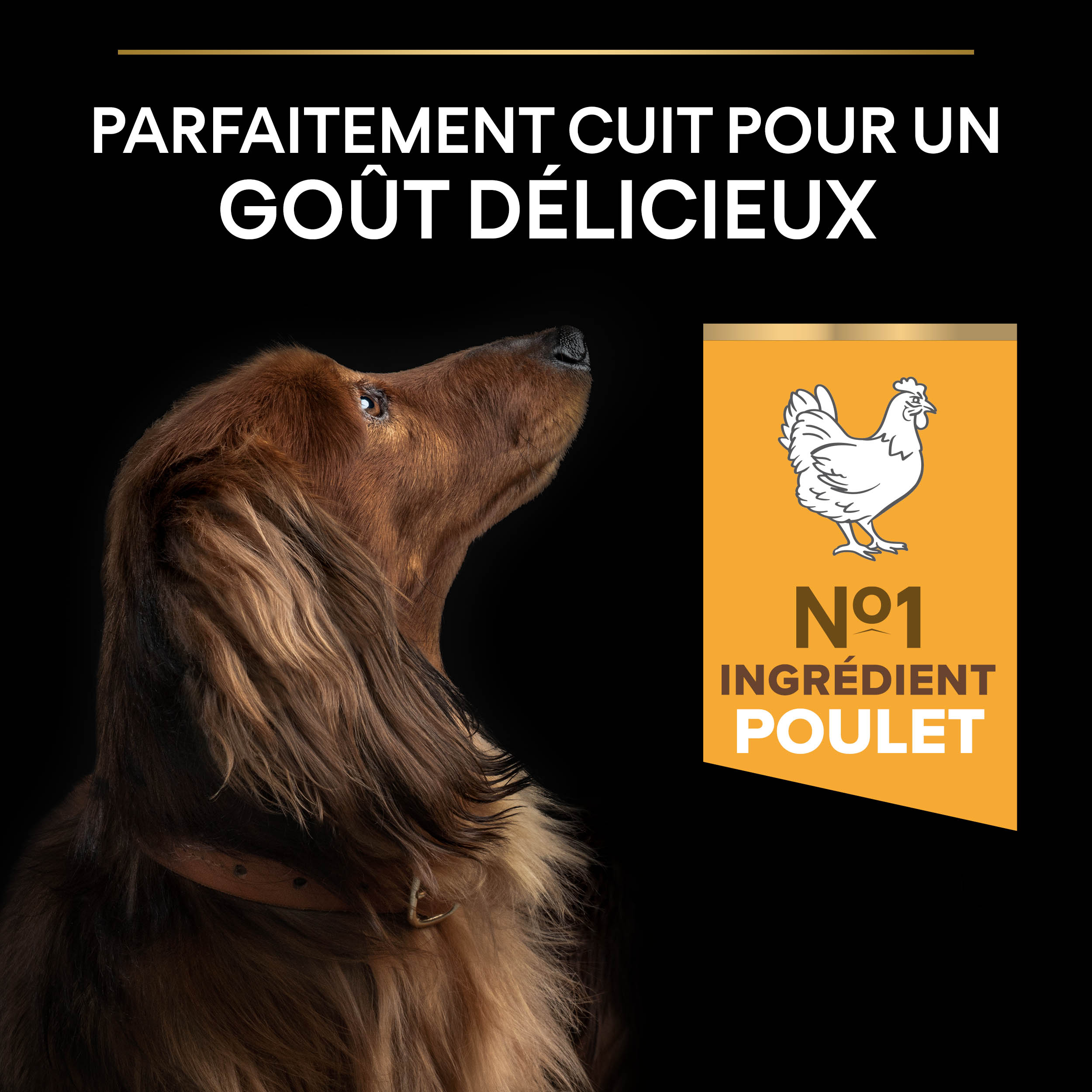 PRO PLAN Chien Small&Mini Adult 9+ Age Defence Poulet 3KG