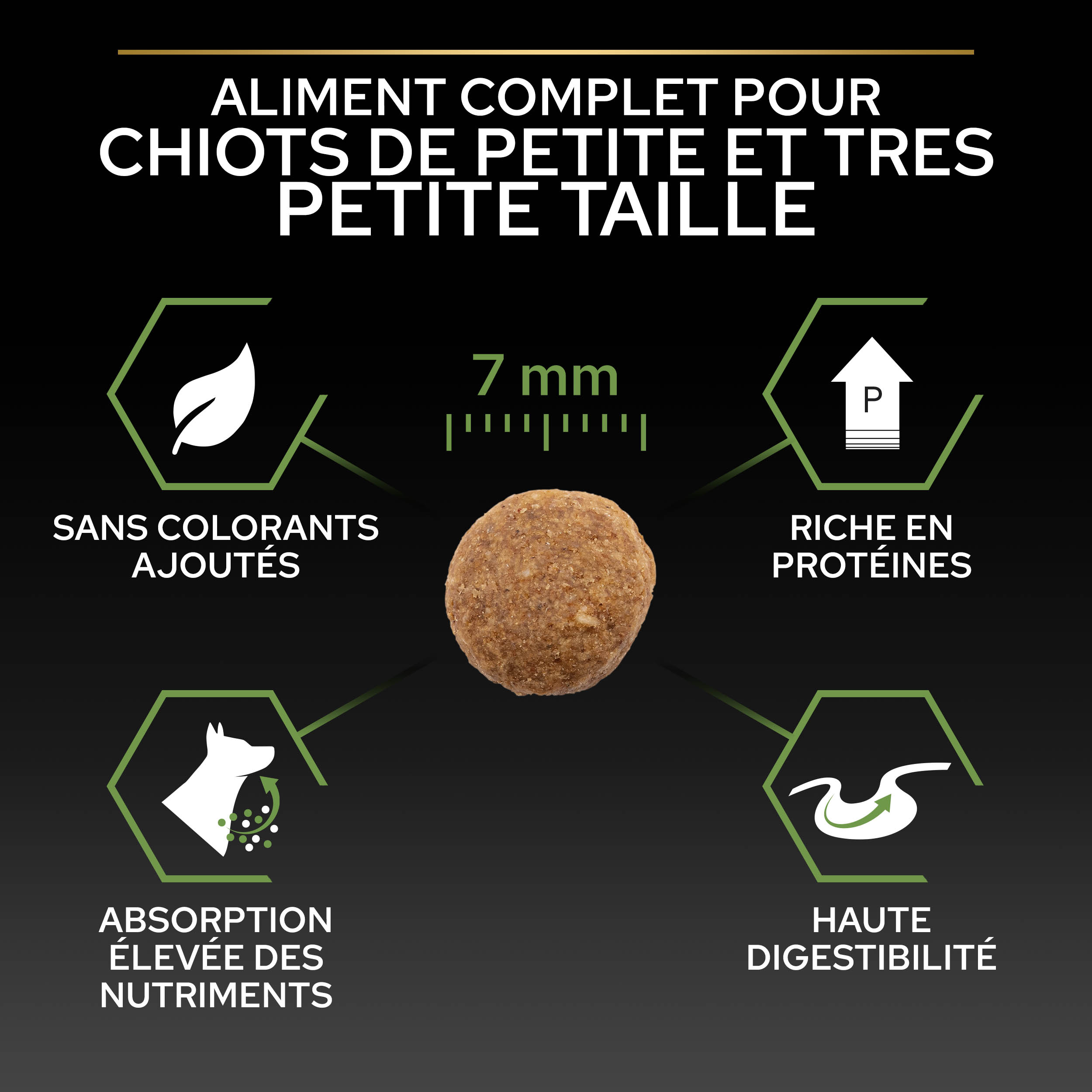 PRO PLAN Chien Small&Mini Puppy Healthy Start Poulet 3KG