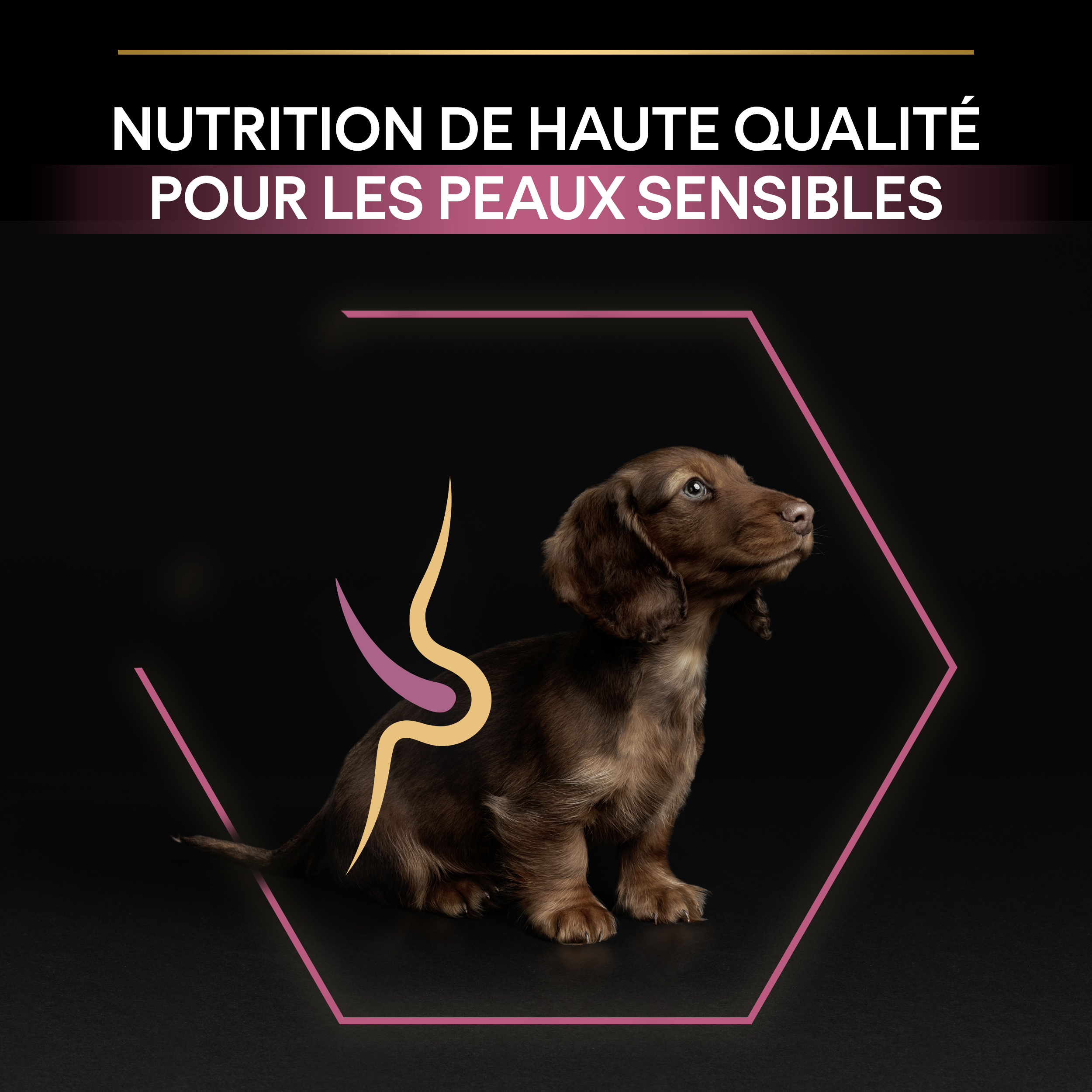 PRO PLAN Chien Small&Mini Puppy Sensitive Skin Saumon 3KG