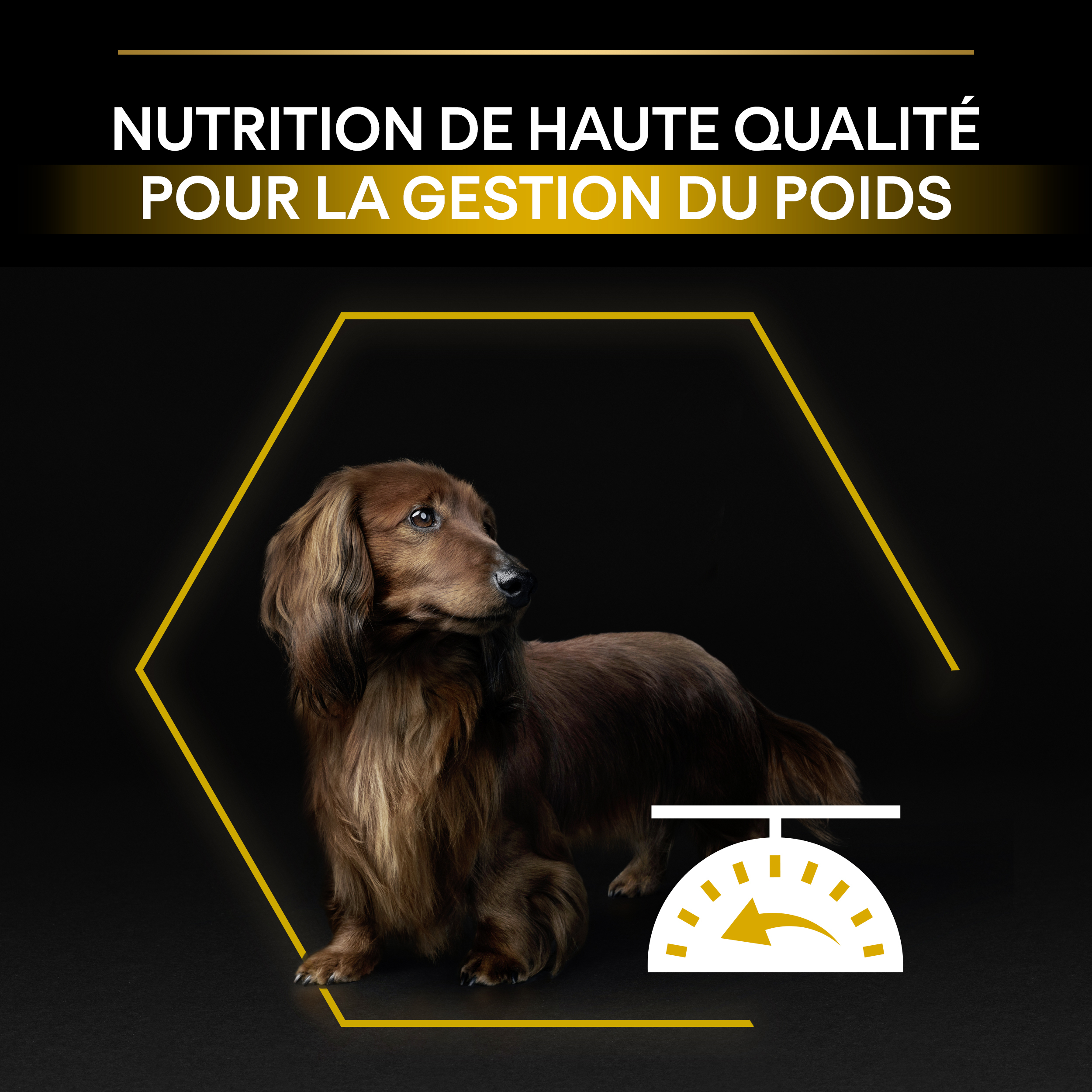 PRO PLAN Chien Small&Mini Adult Light Sterilised Poulet 3KG