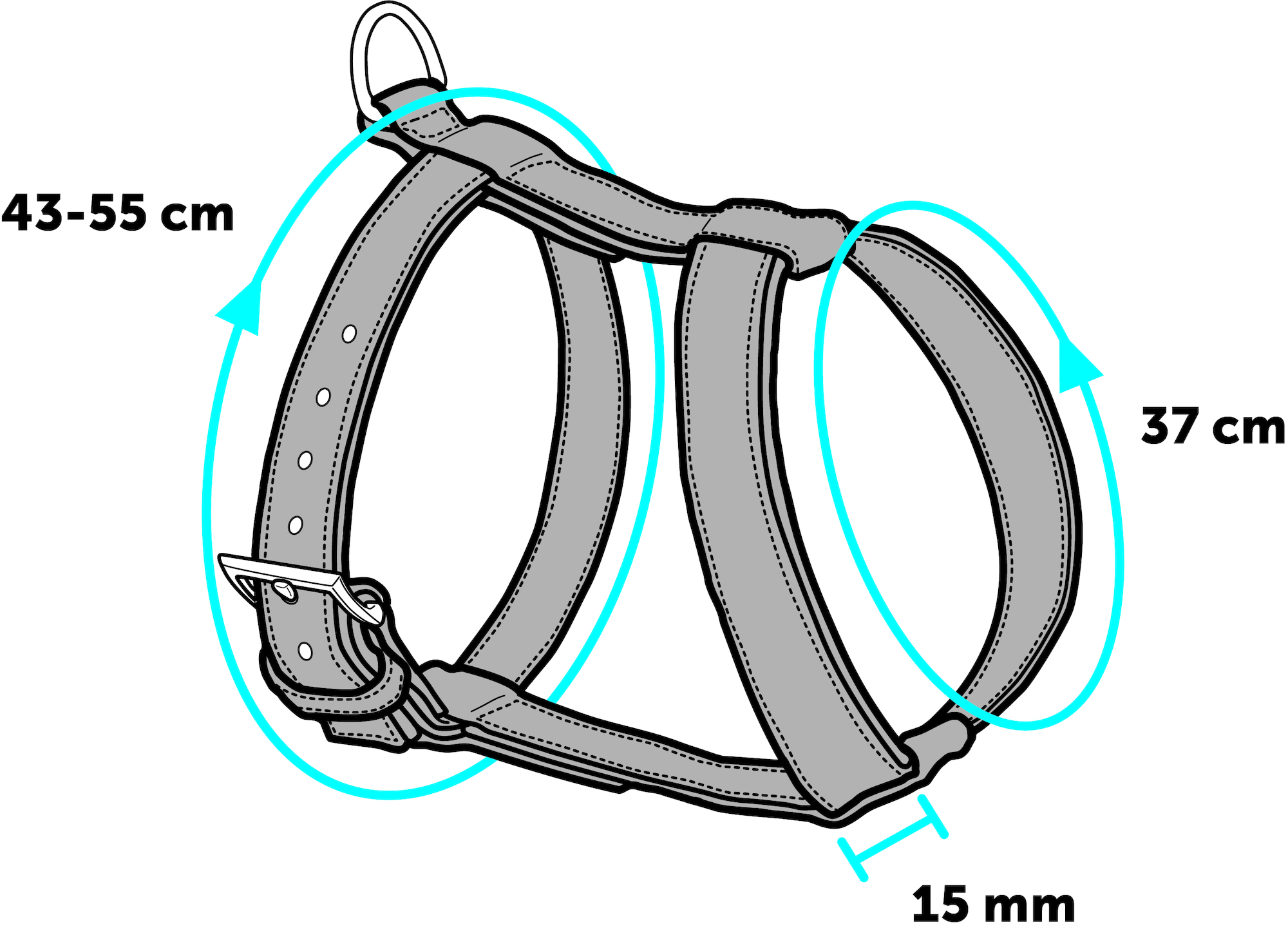 Harnais avec laisse Harms Noir & Rouge