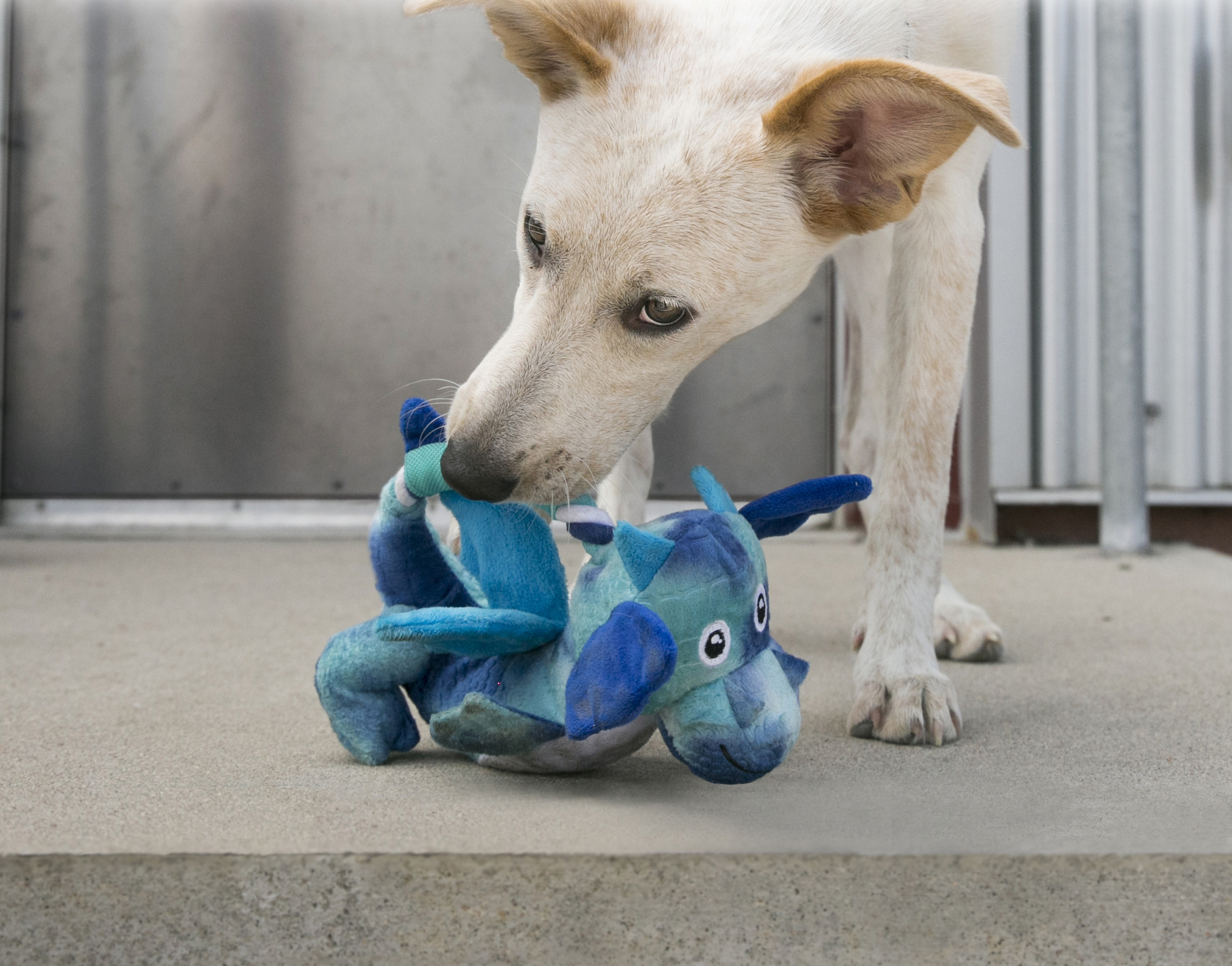 Kong® Jouet Knots Plusieurs couleurs Dragon