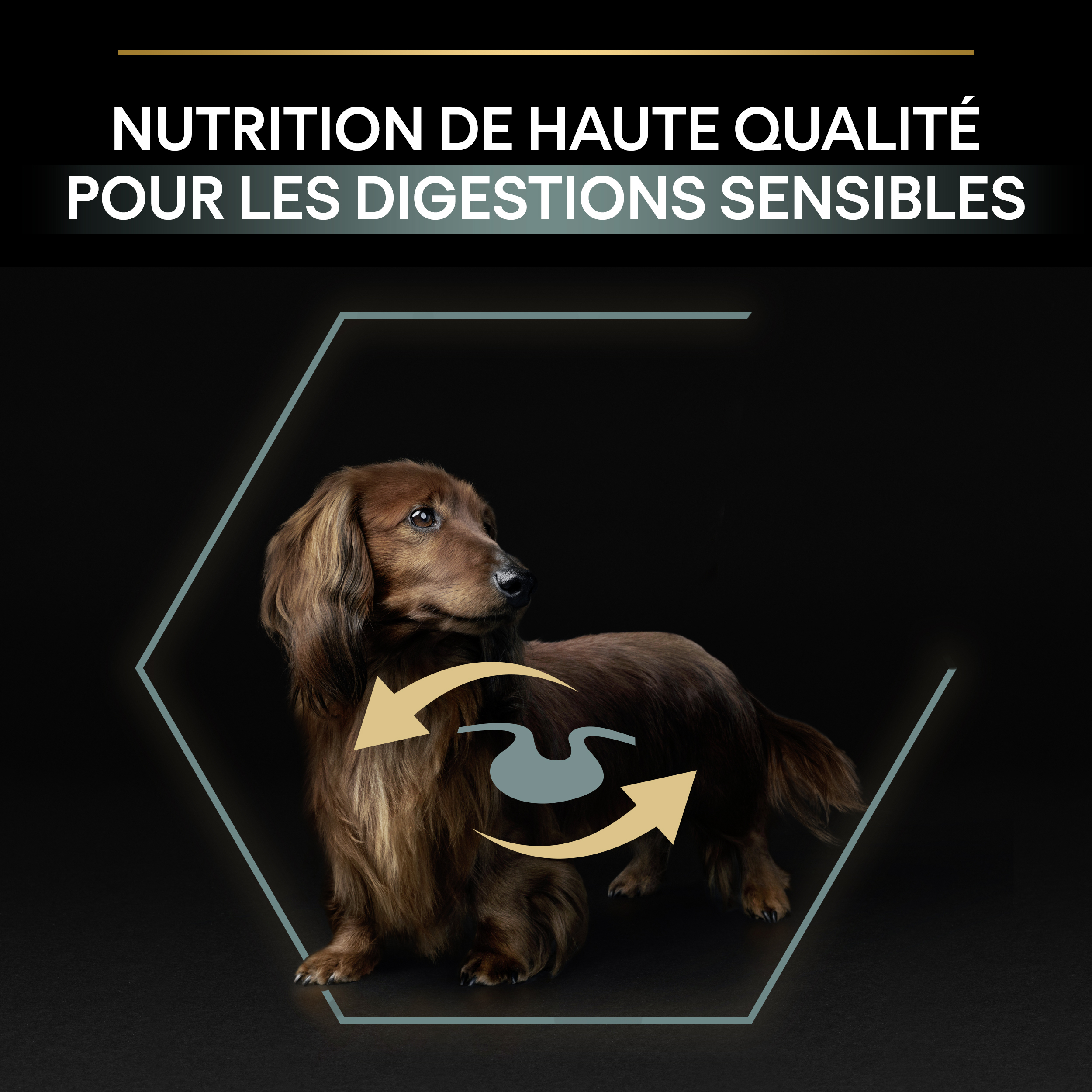 PRO PLAN Chien Small&Mini Adult Sensitive Digestion Agneau 3KG