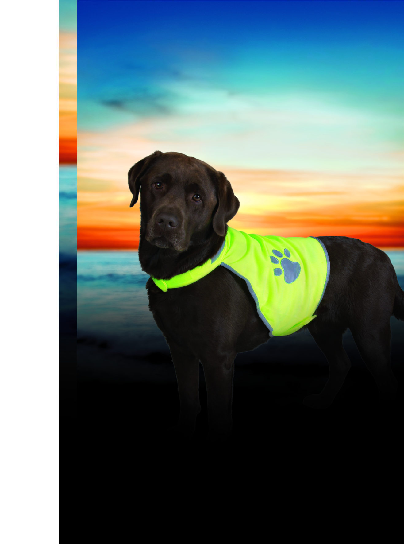 Gilet de sécurité, réfléchissant - Extra large