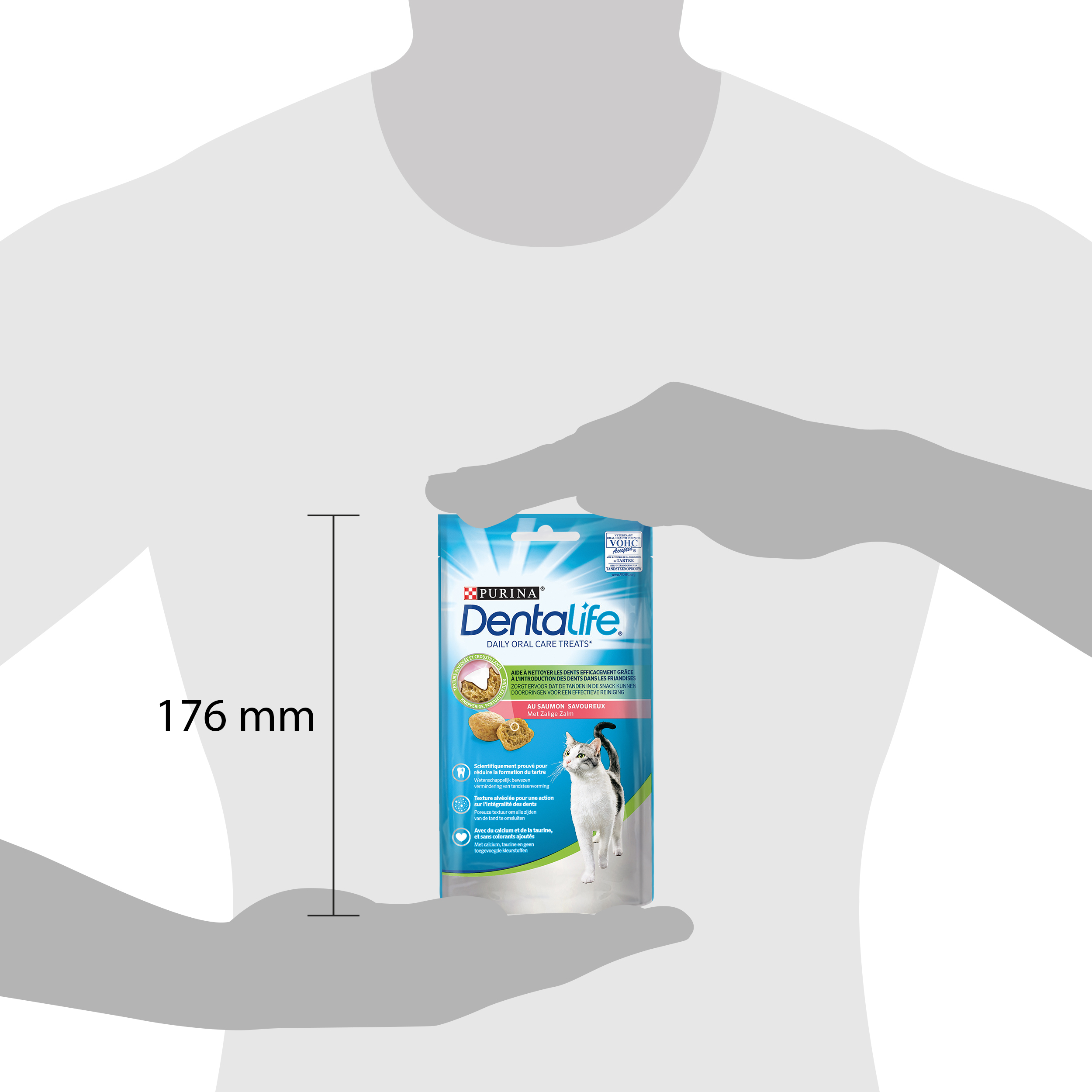 DENTALIFE Chat Friandises Saumon 40g