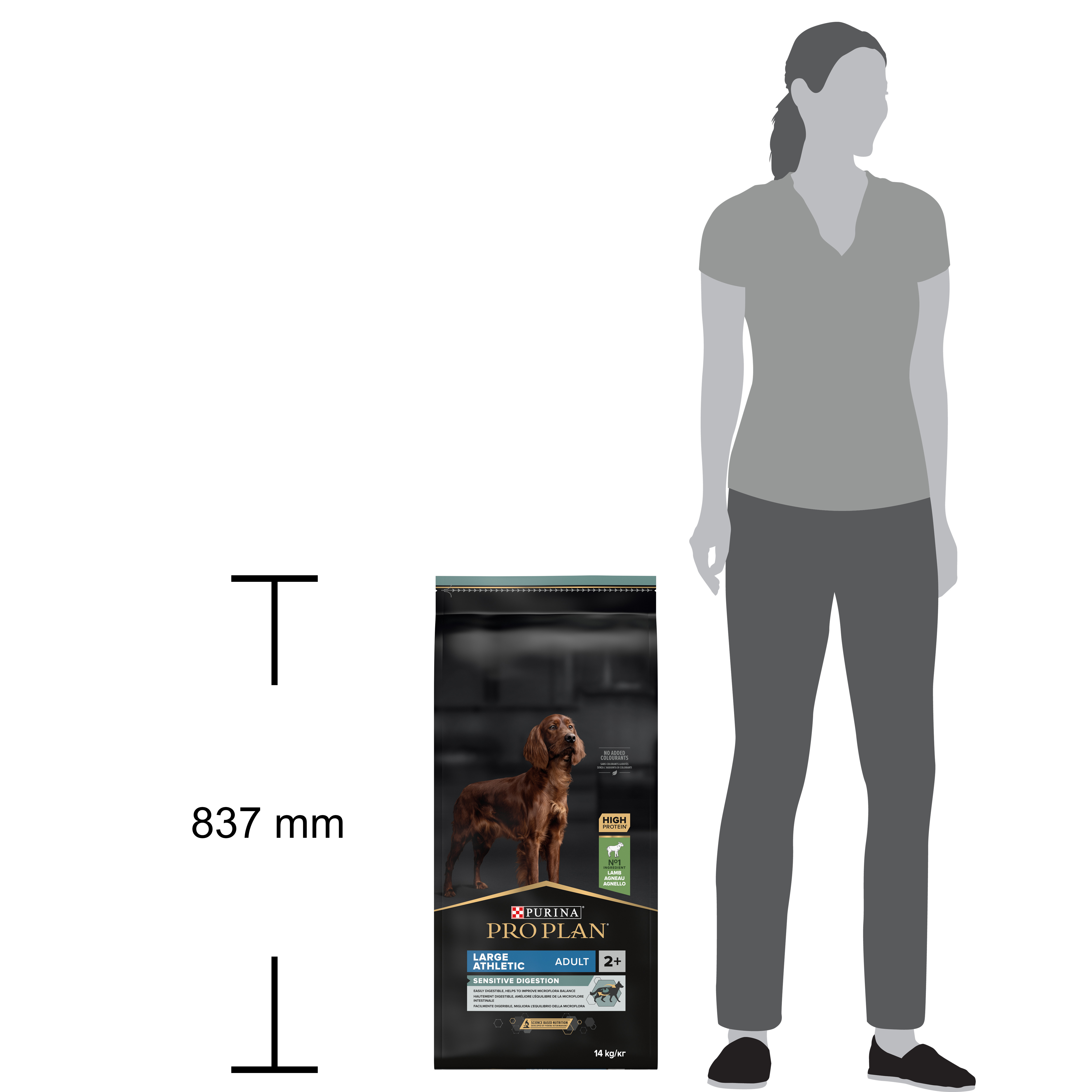 PRO PLAN Chien Large Adult Athletic Sensitive Digestion Agneau 14KG