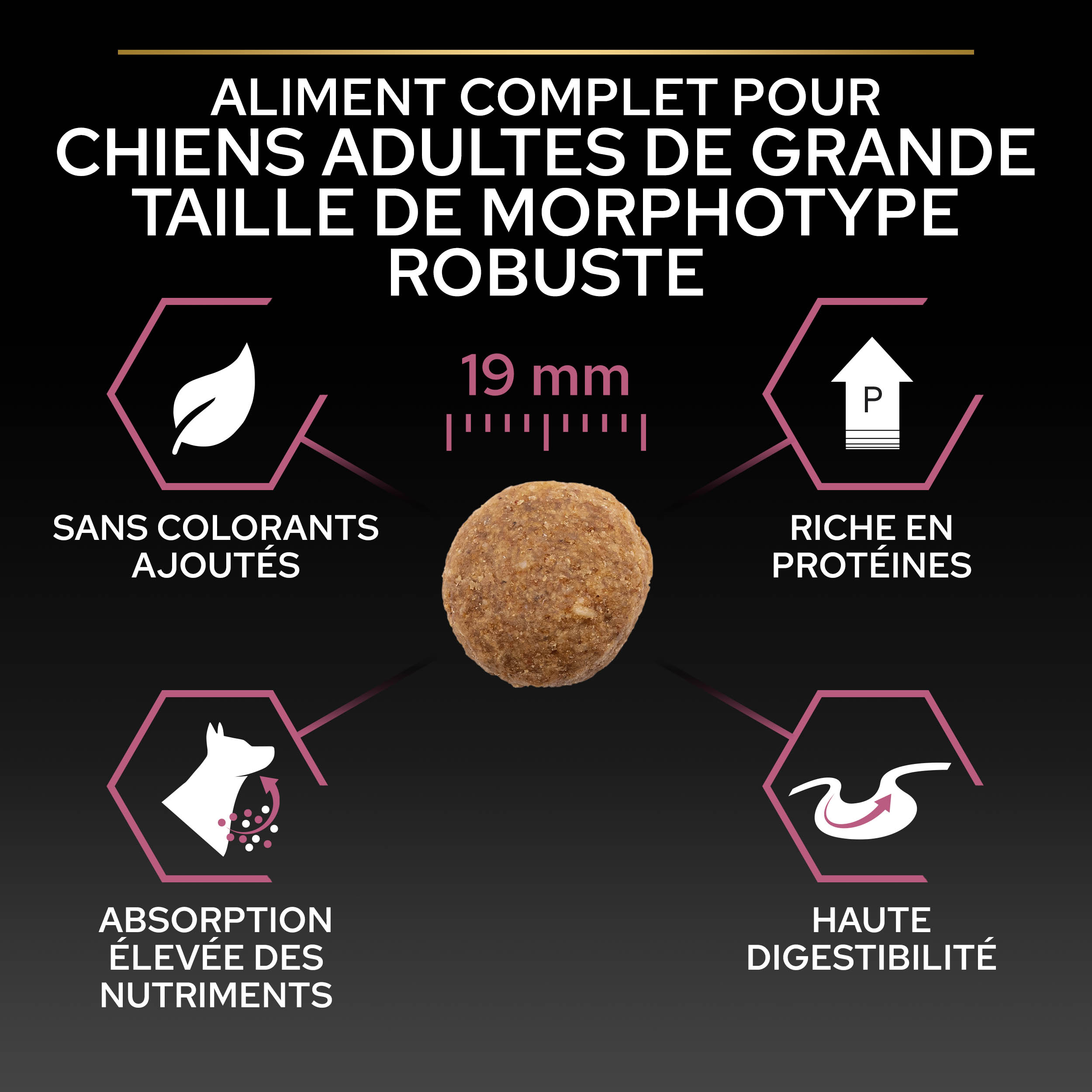 PRO PLAN Chien Large Adult Robust Sensitive Skin Saumon 14KG