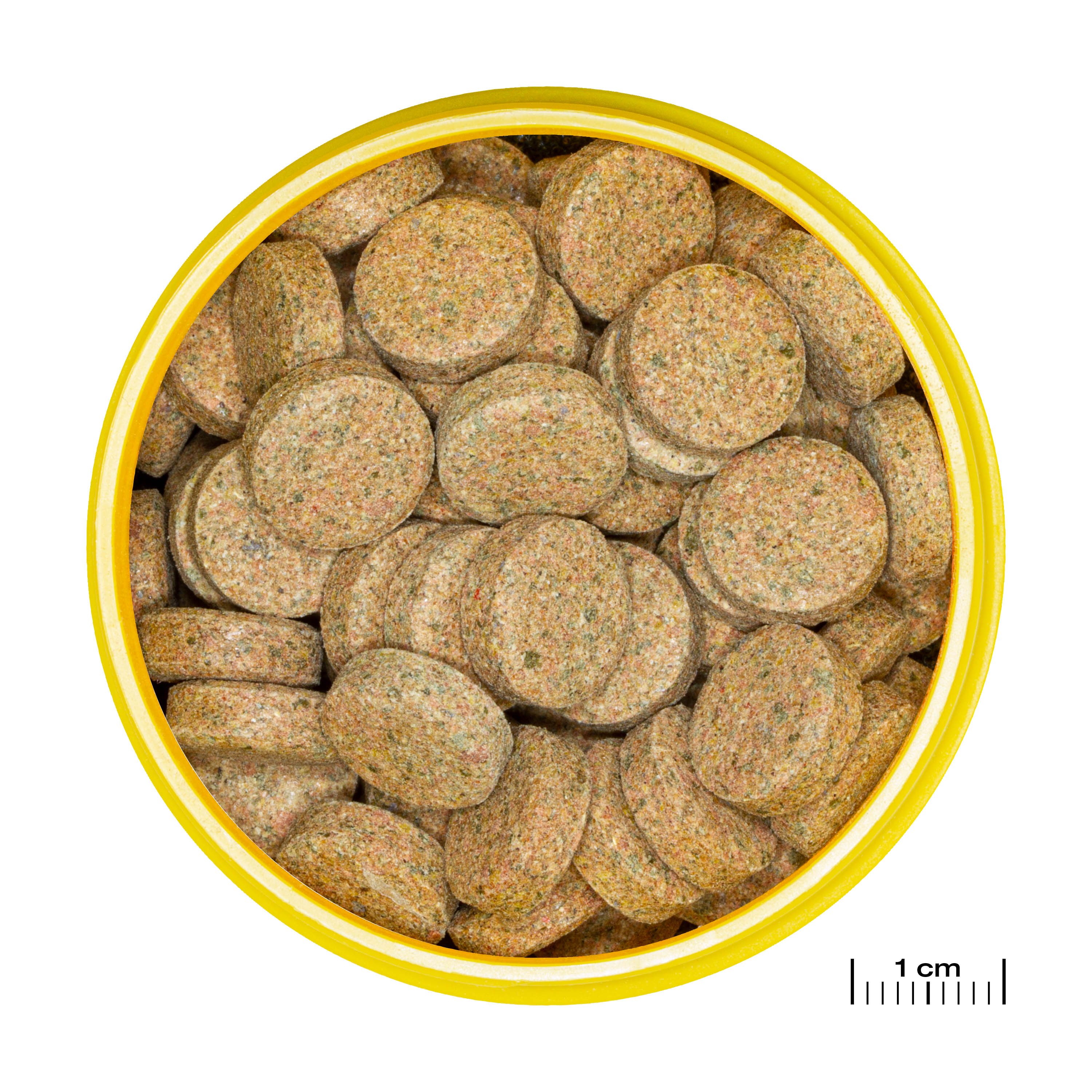 JBL PRONOVO  TAB M 250ml - Cachets pour poissons de fond