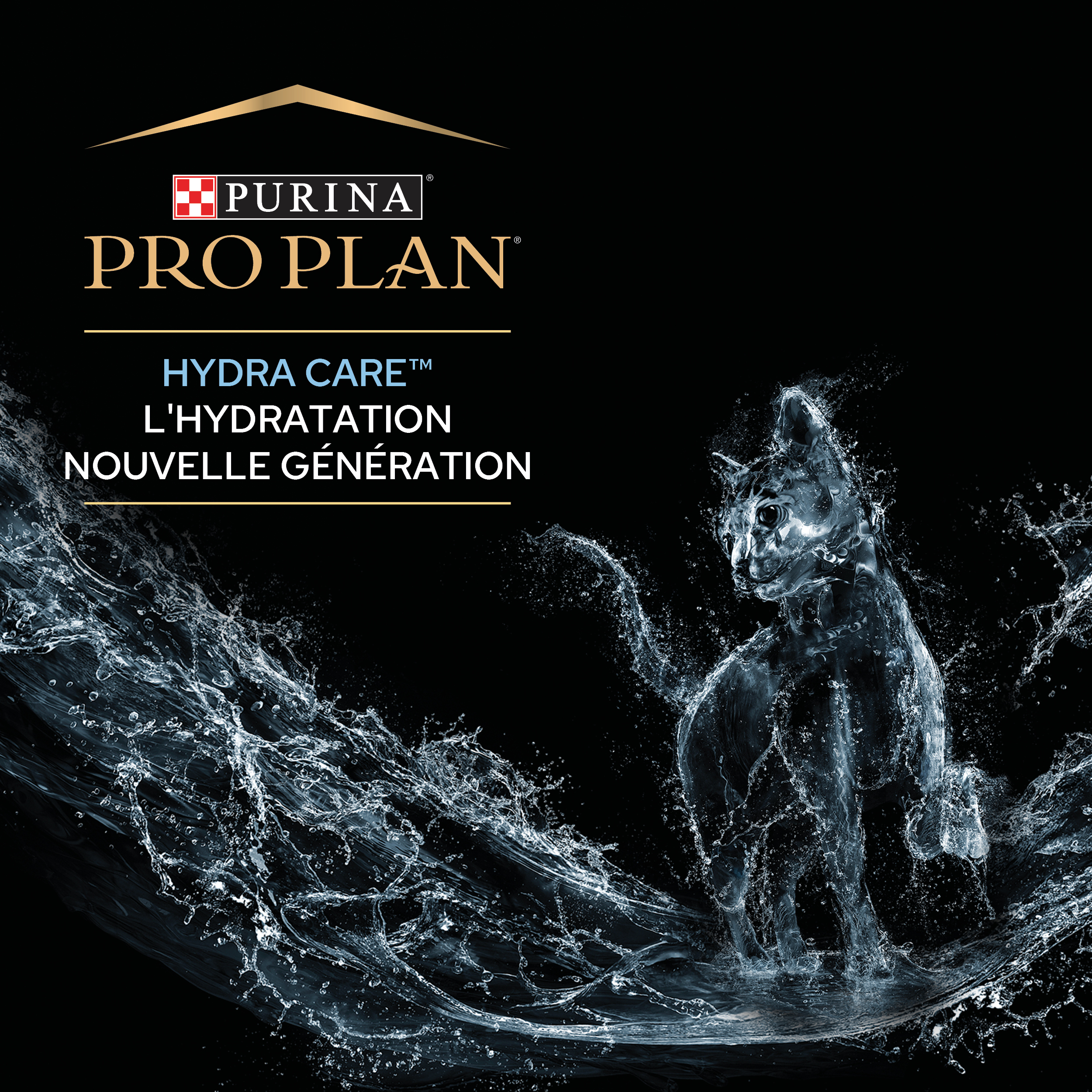PRO PLAN Chat Hydra Care 10x85g