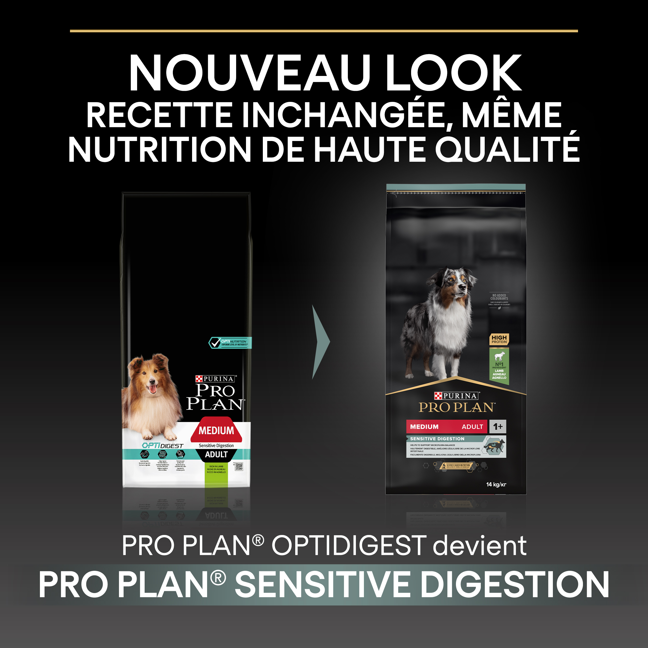 PRO PLAN Chien Medium Adult Sensitive Digestion Agneau 14KG