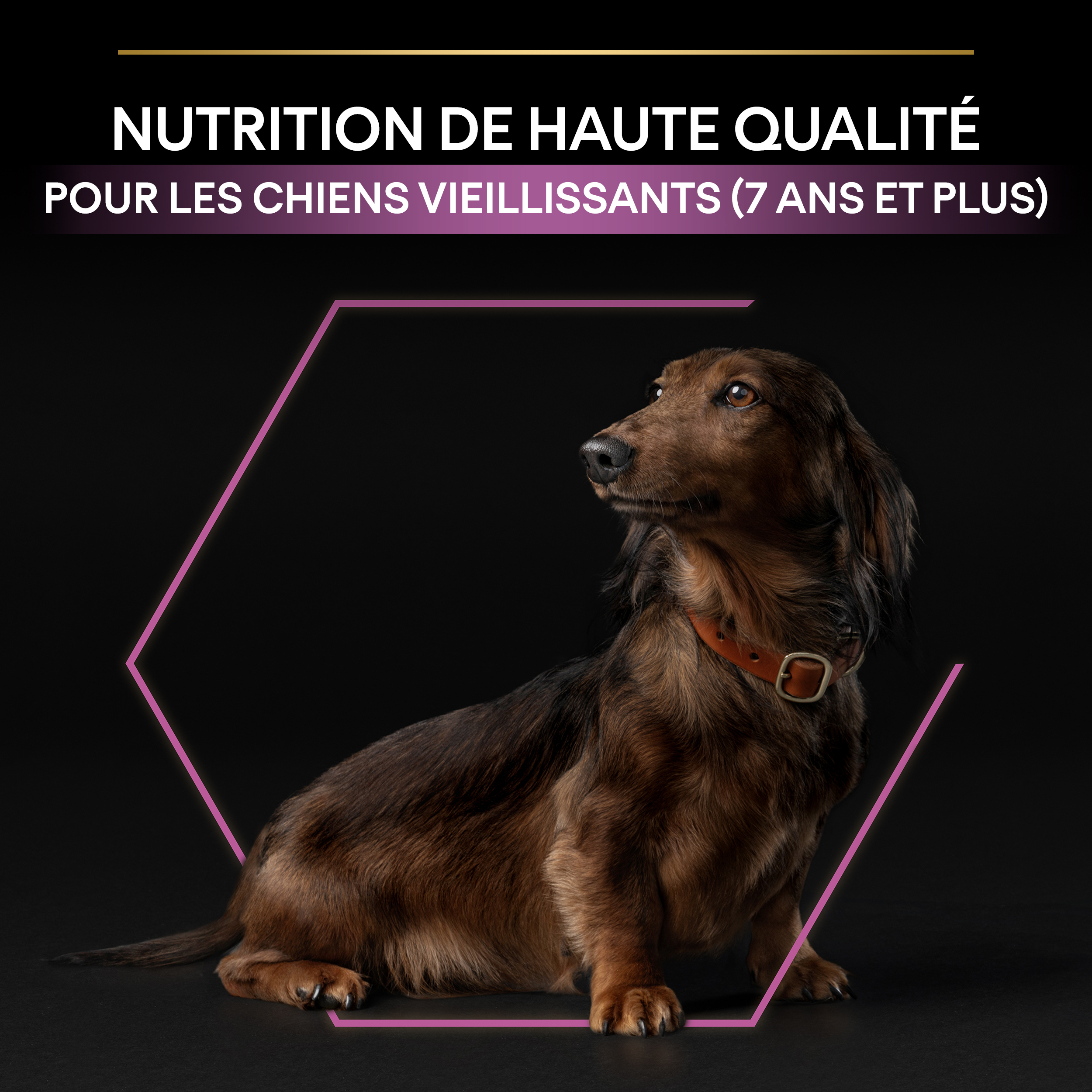 PRO PLAN Chien Small&Mini Adult 9+ Age Defence Poulet 3KG