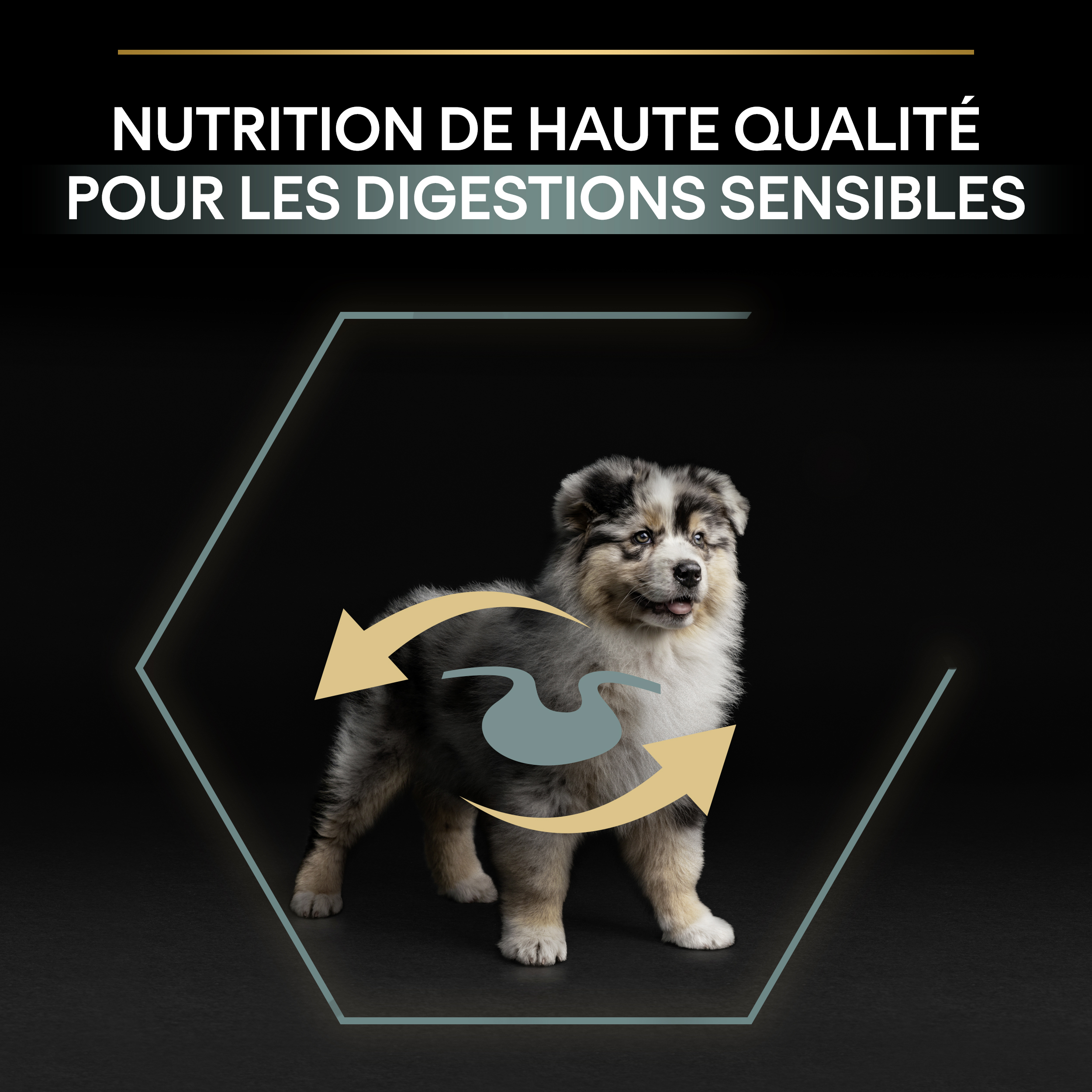 PRO PLAN Chien Medium Puppy Sensitive Digestion Agneau 3KG