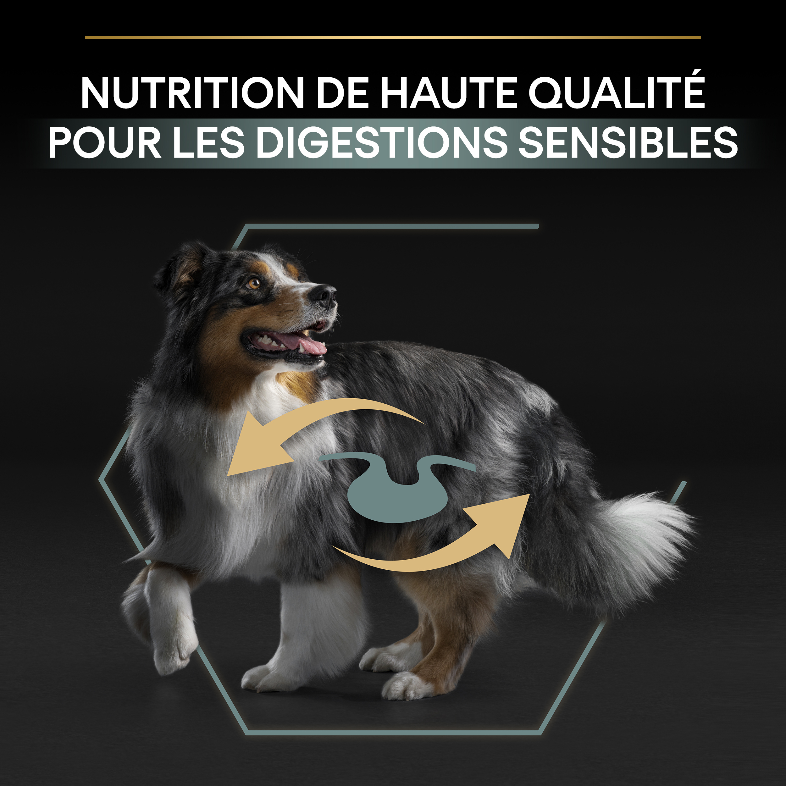 PRO PLAN Chien Medium Adult Sensitive Digestion Agneau 14KG