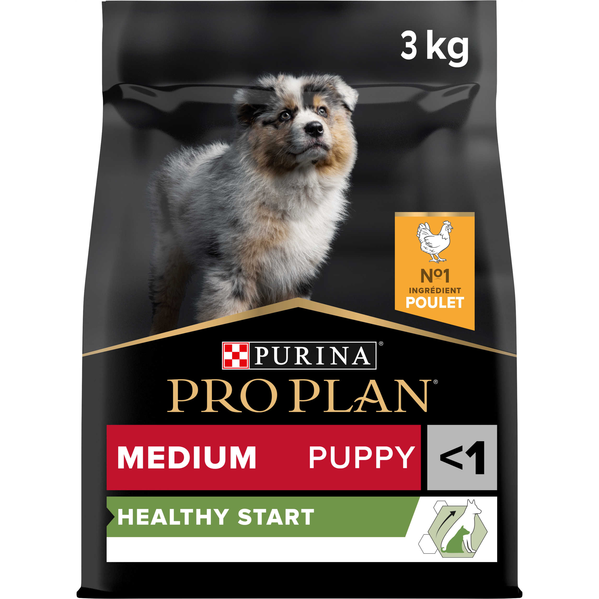 PRO PLAN Chien Medium Puppy Healthy Start Poulet 3KG