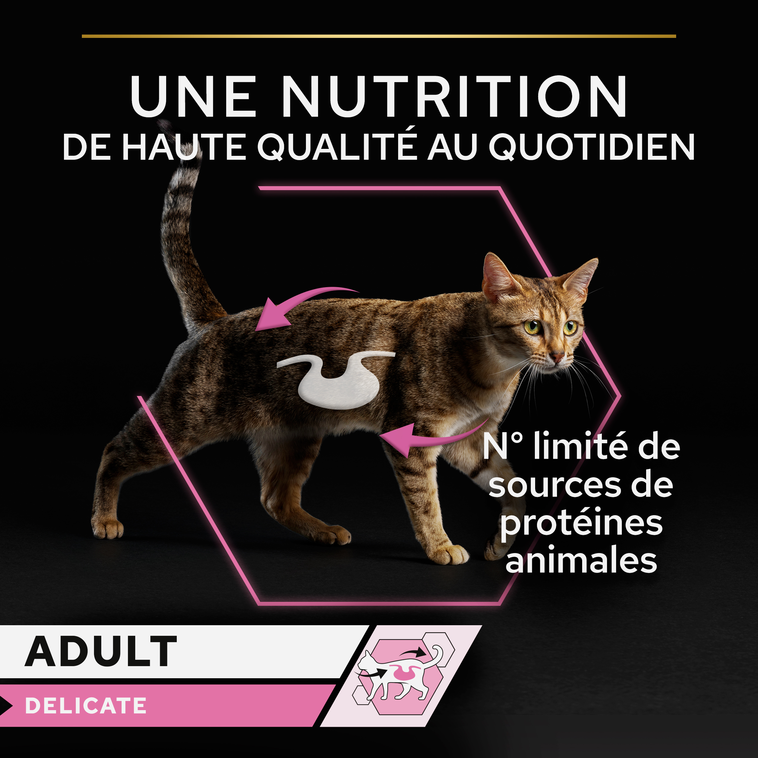 PRO PLAN DELICATE Mousse Dinde 85g