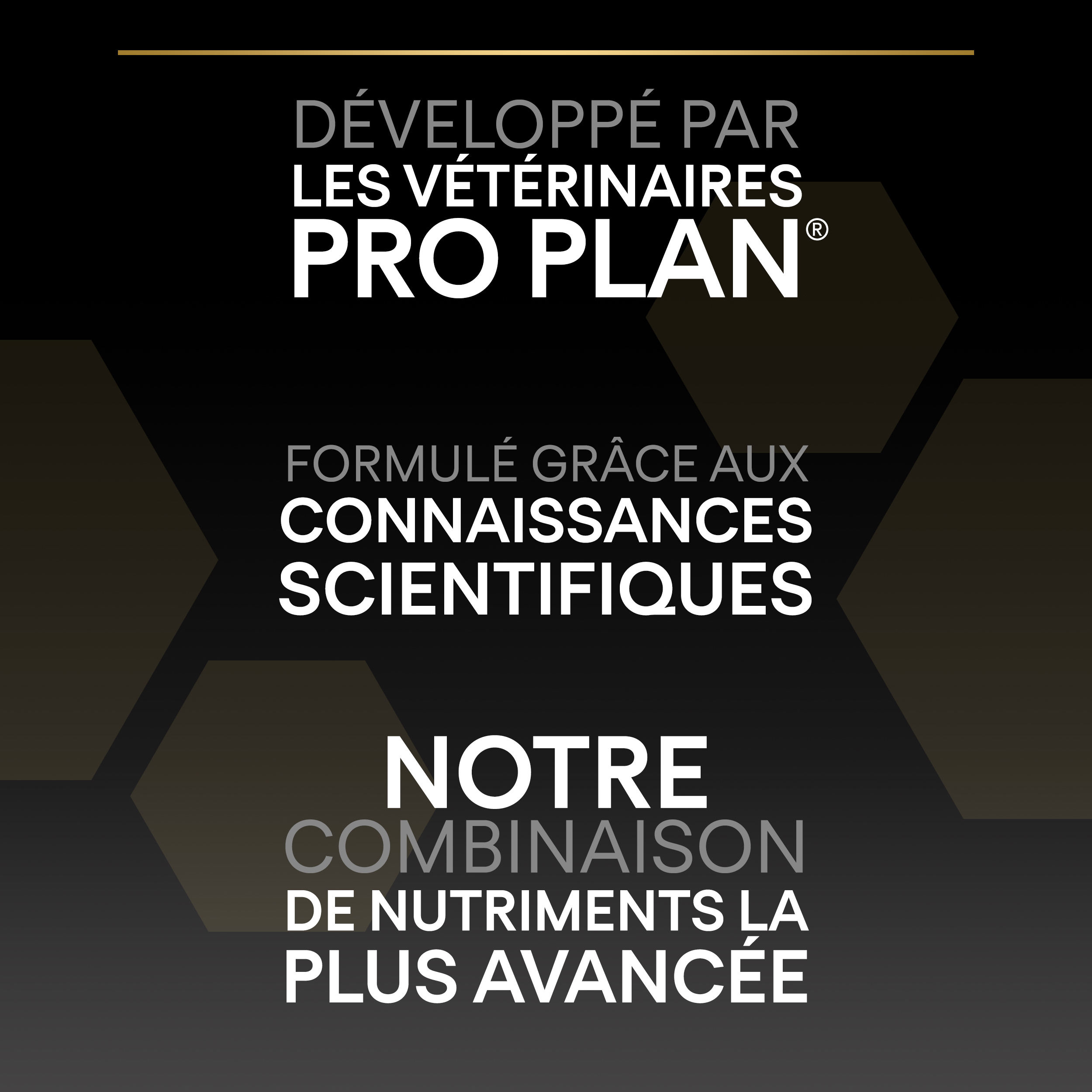 PRO PLAN Chien Large Adulte Athletic Everyday Nutrition Poulet 14KG