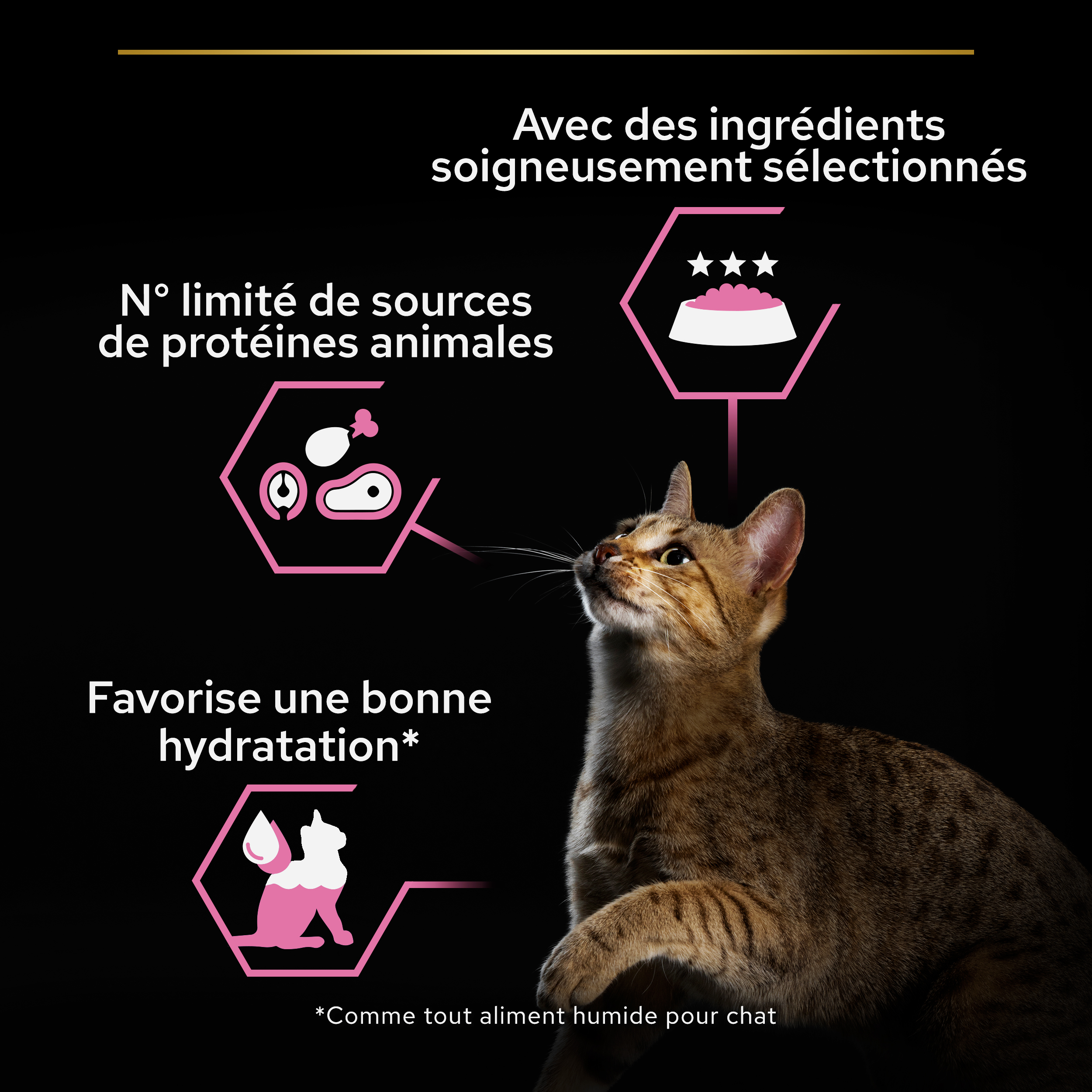 PRO PLAN POUR CHAT ADULTE STERILISE NOURRITURE HUMIDE POISSON OCEAN - POCHONS 10 X 85G