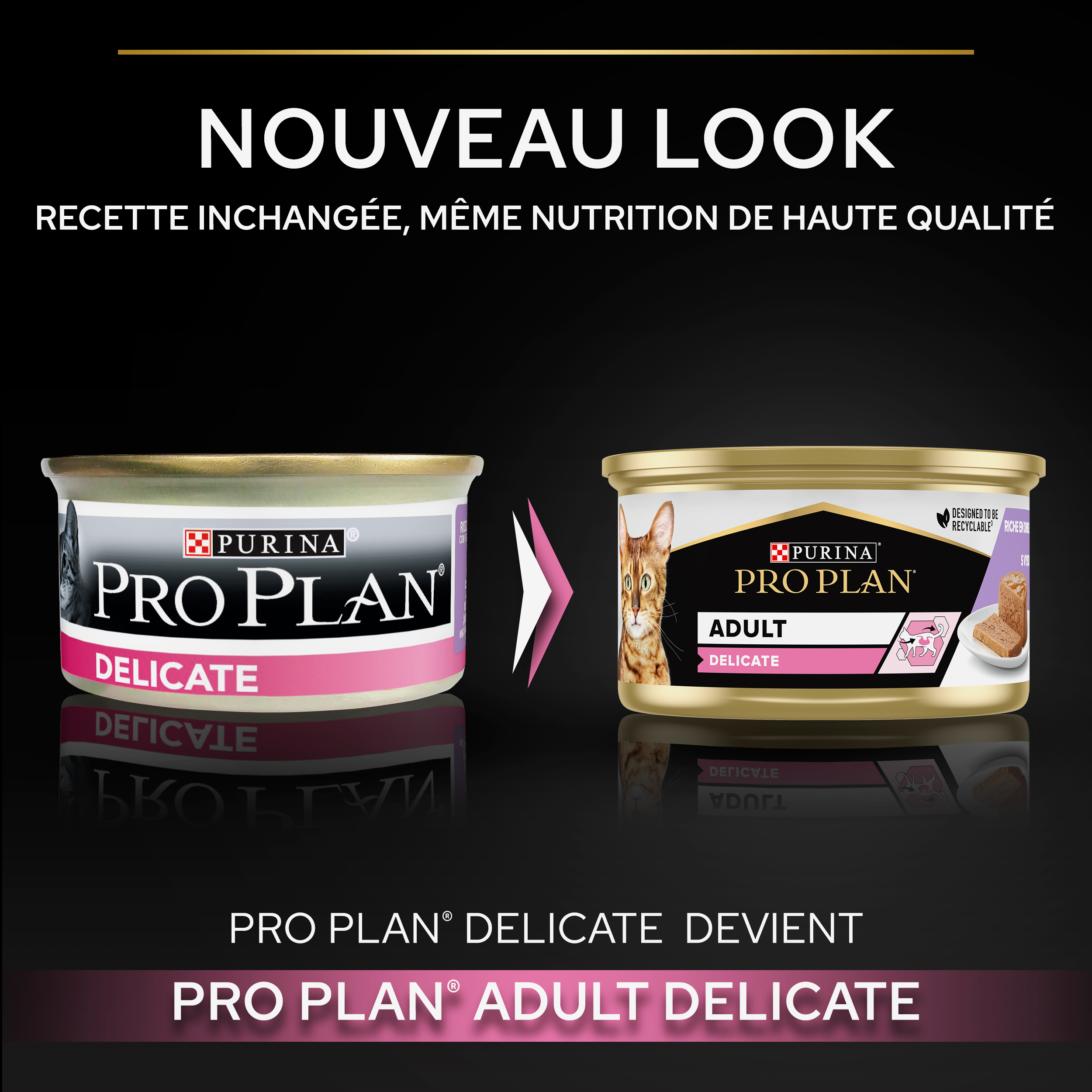 PRO PLAN DELICATE Mousse Dinde 85g