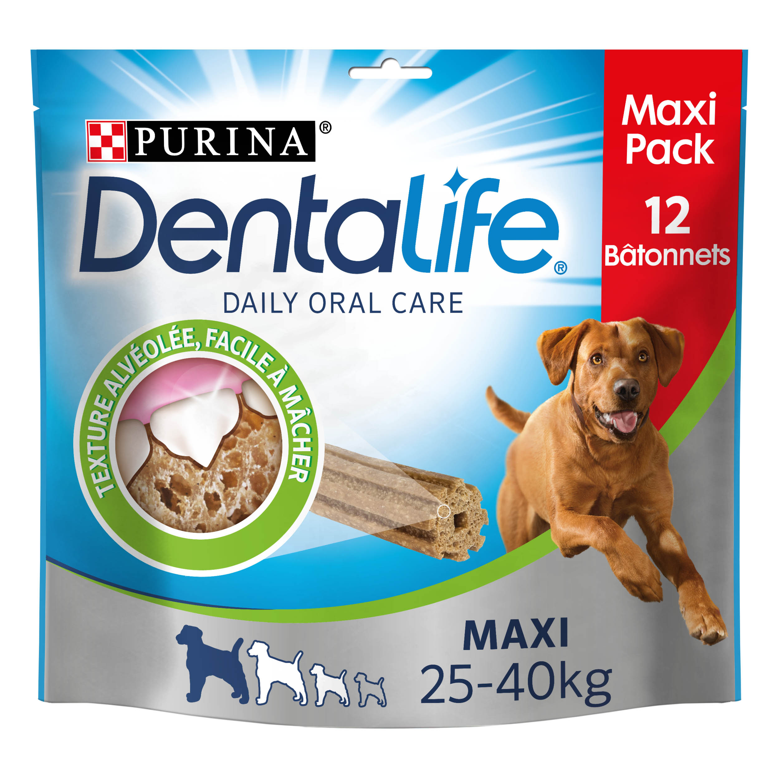 DENTALIFE Maxi Maxi Pack 12 Friandises
