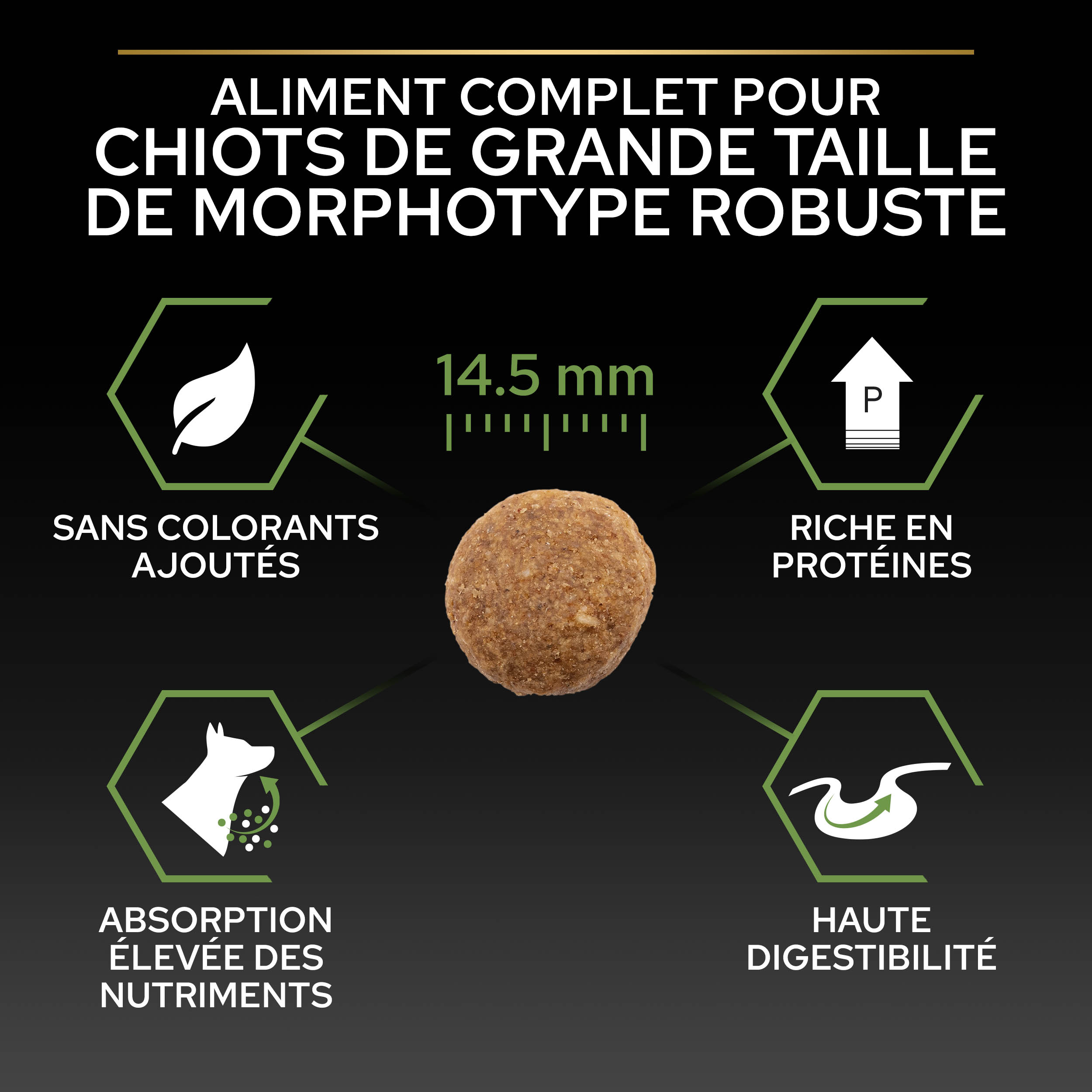 PRO PLAN Chien Large Robust Puppy Healthy Start Poulet 12KG