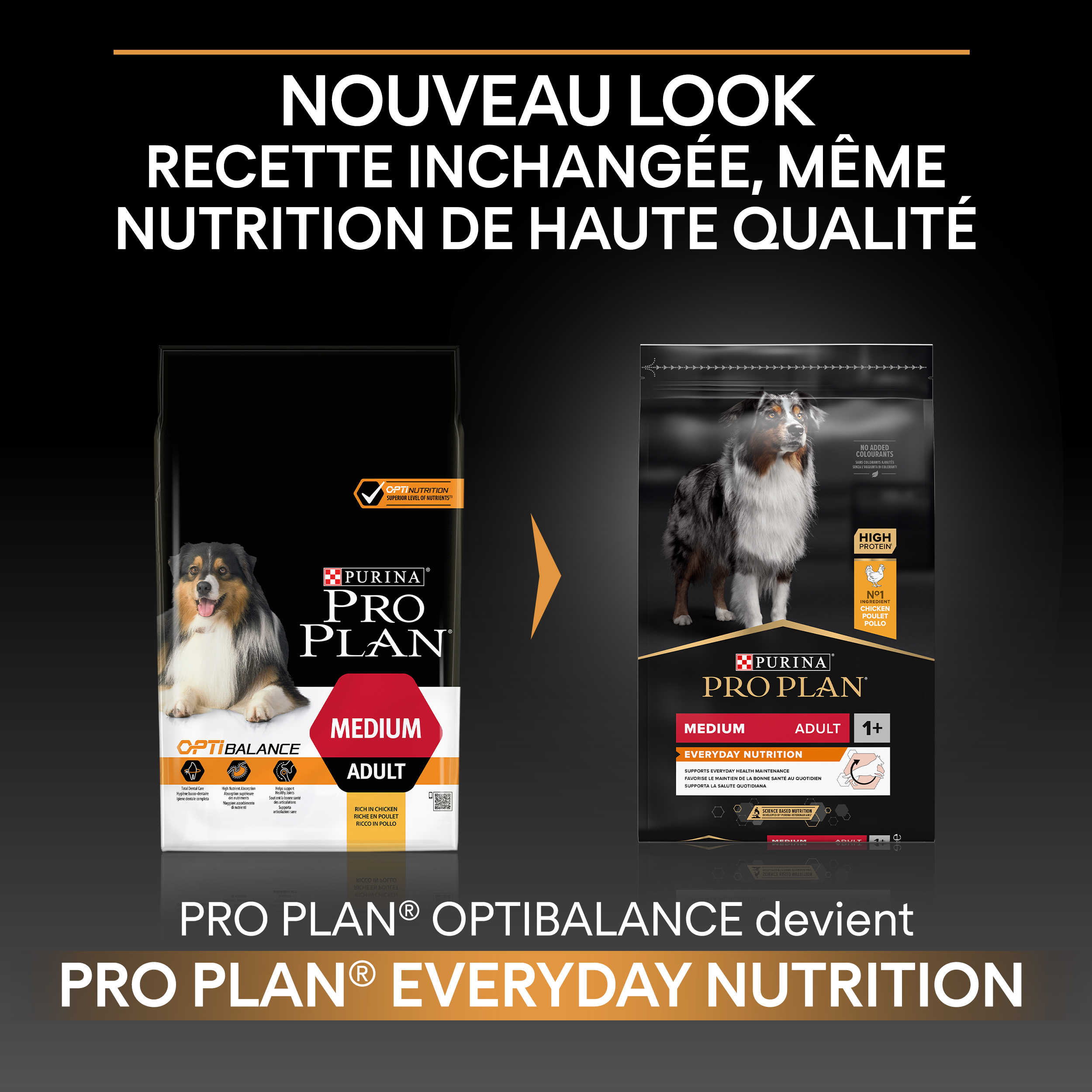 PRO PLAN Chien Medium Adulte Everyday Nutrition Poulet 3KG
