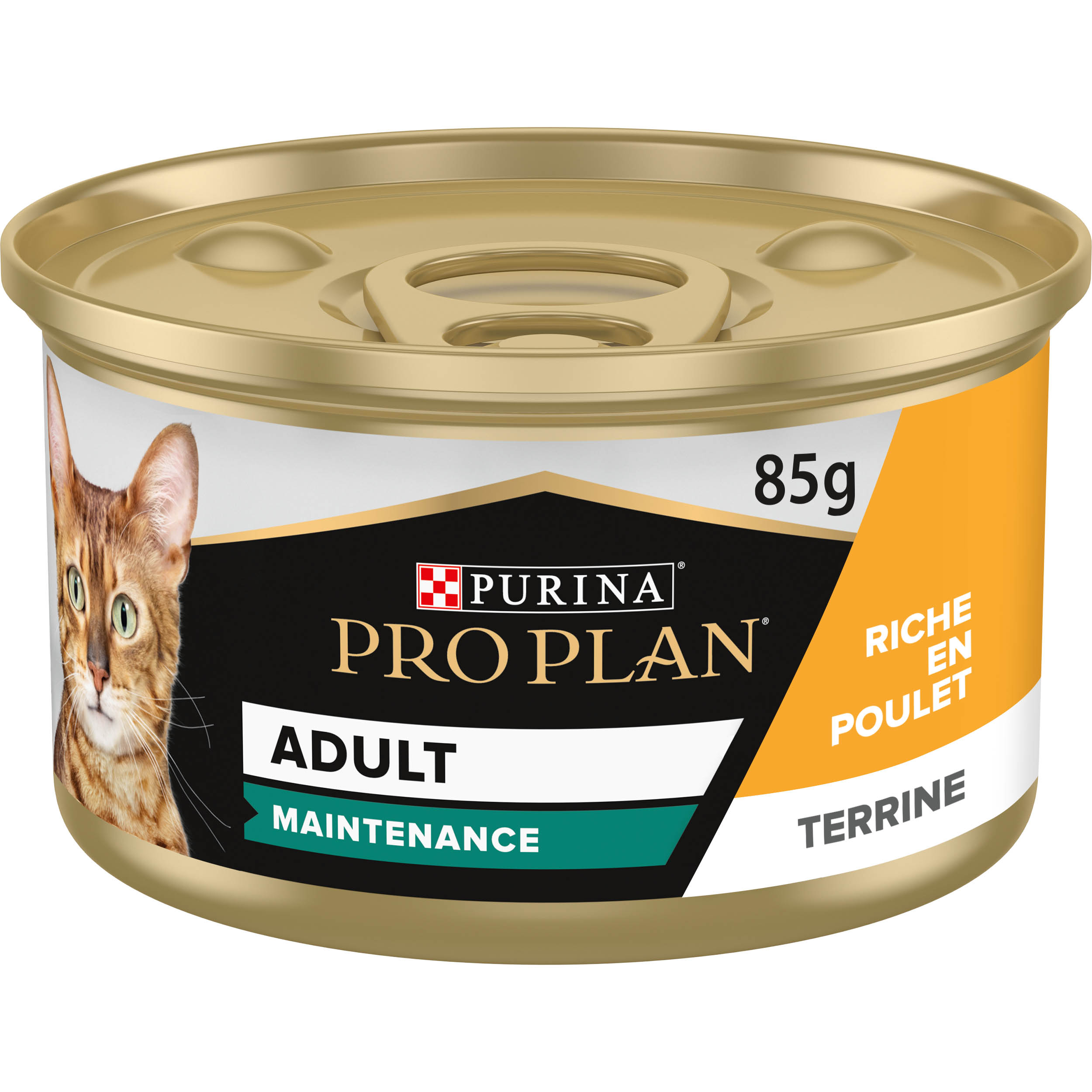 PRO PLAN Chat ADULT MAINTENANCE - Terrine riche en Poulet - 85g