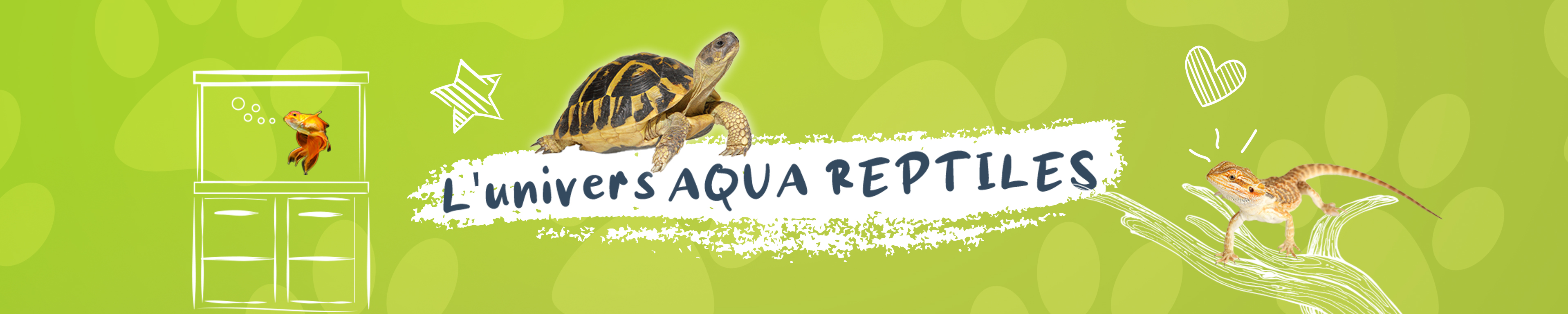 Compléments alimentaire