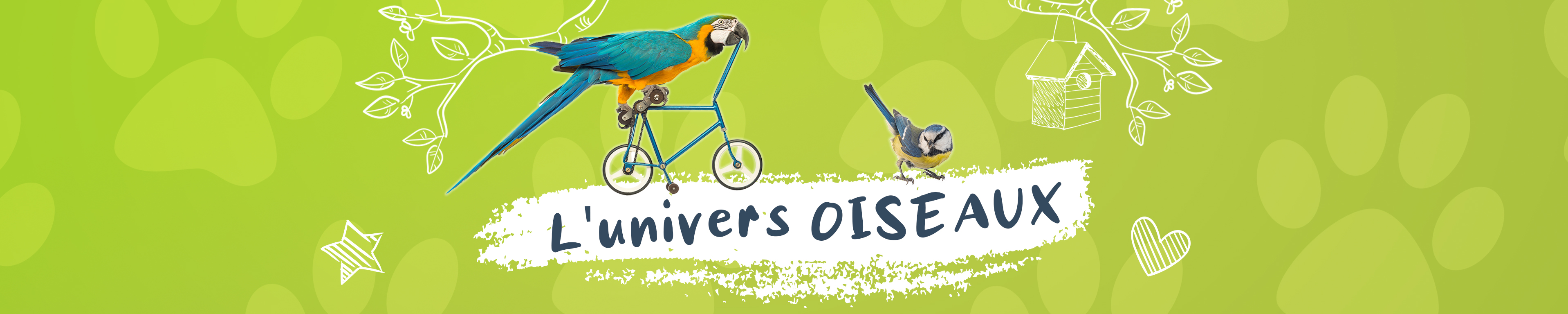 Mangeoire et abreuvoir